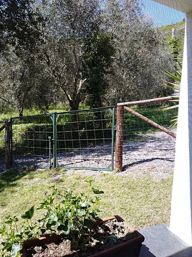 Ca' Do Diao Villa Onzo Екстериор снимка